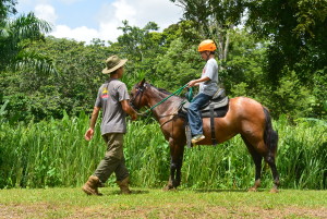 Caballos para niños