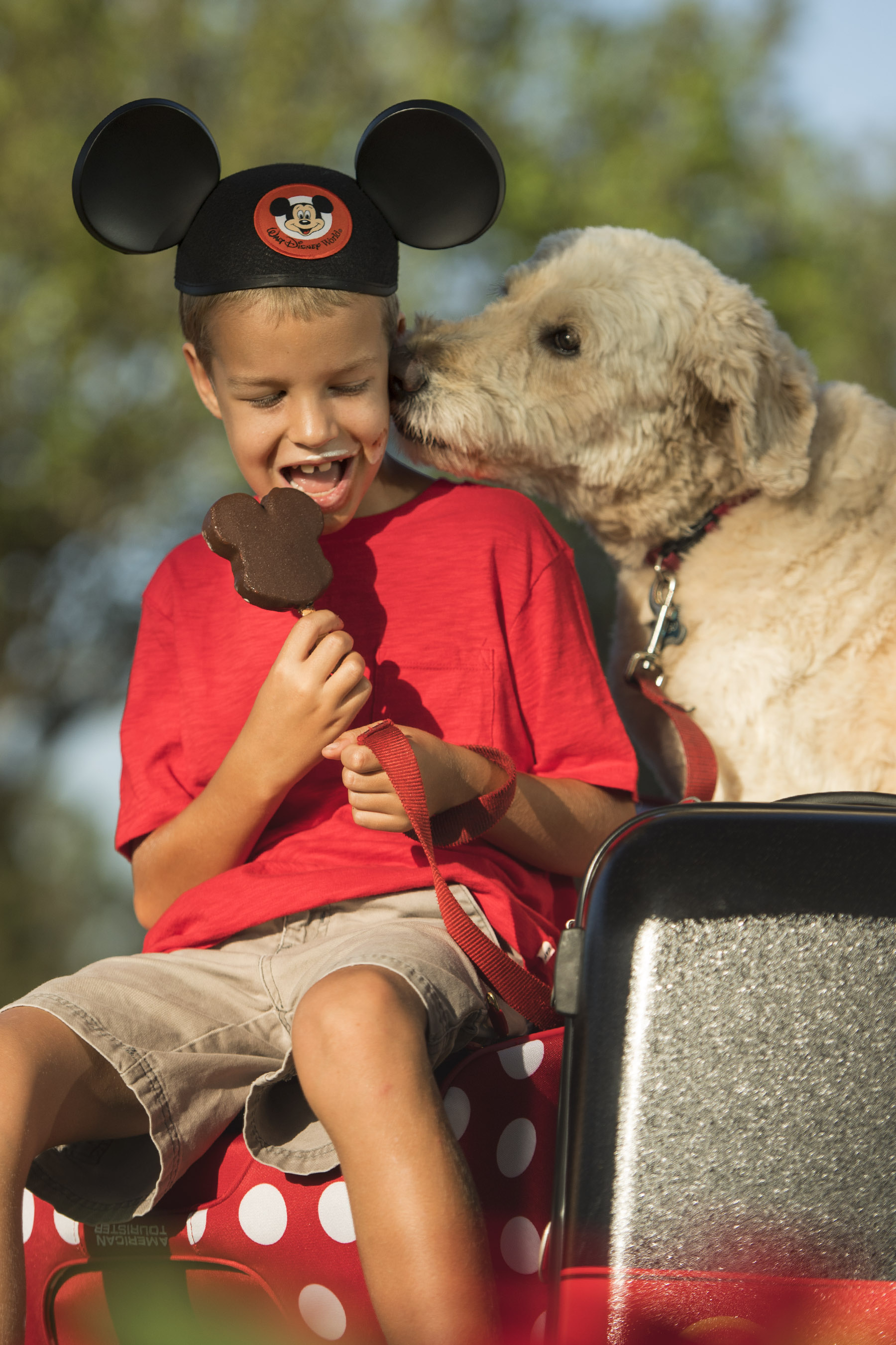 Beginning Sunday, Oct. 15, 2017, Walt Disney World Resort will welcome guests Ð and their canine companions Ð to four resort hotels: DisneyÕs Yacht Club Resort, Disney Port Orleans Resort Ð Riverside, DisneyÕs Art of Animation Resort and the cabins at Disney's Fort Wilderness Resort & Campground. Each resort offers a PlutoÕs Welcome Kit with special amenities, easy access to outdoor pet exercise areas and green spaces with pet relief areas. The new service permits up to two dogs per guest room. (David Roark, photographer)